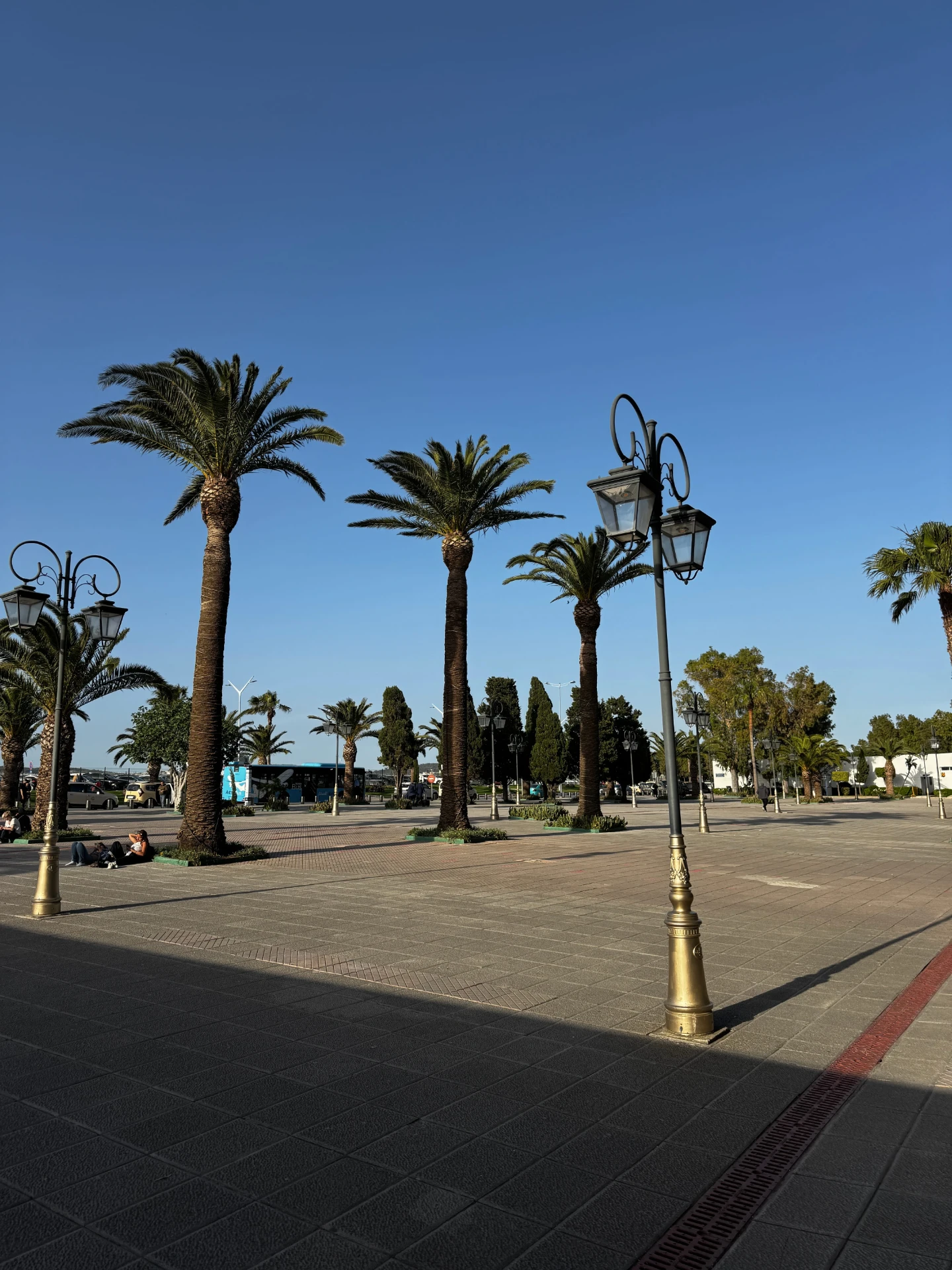 Palm-lined esplanade with wrought-iron lanterns