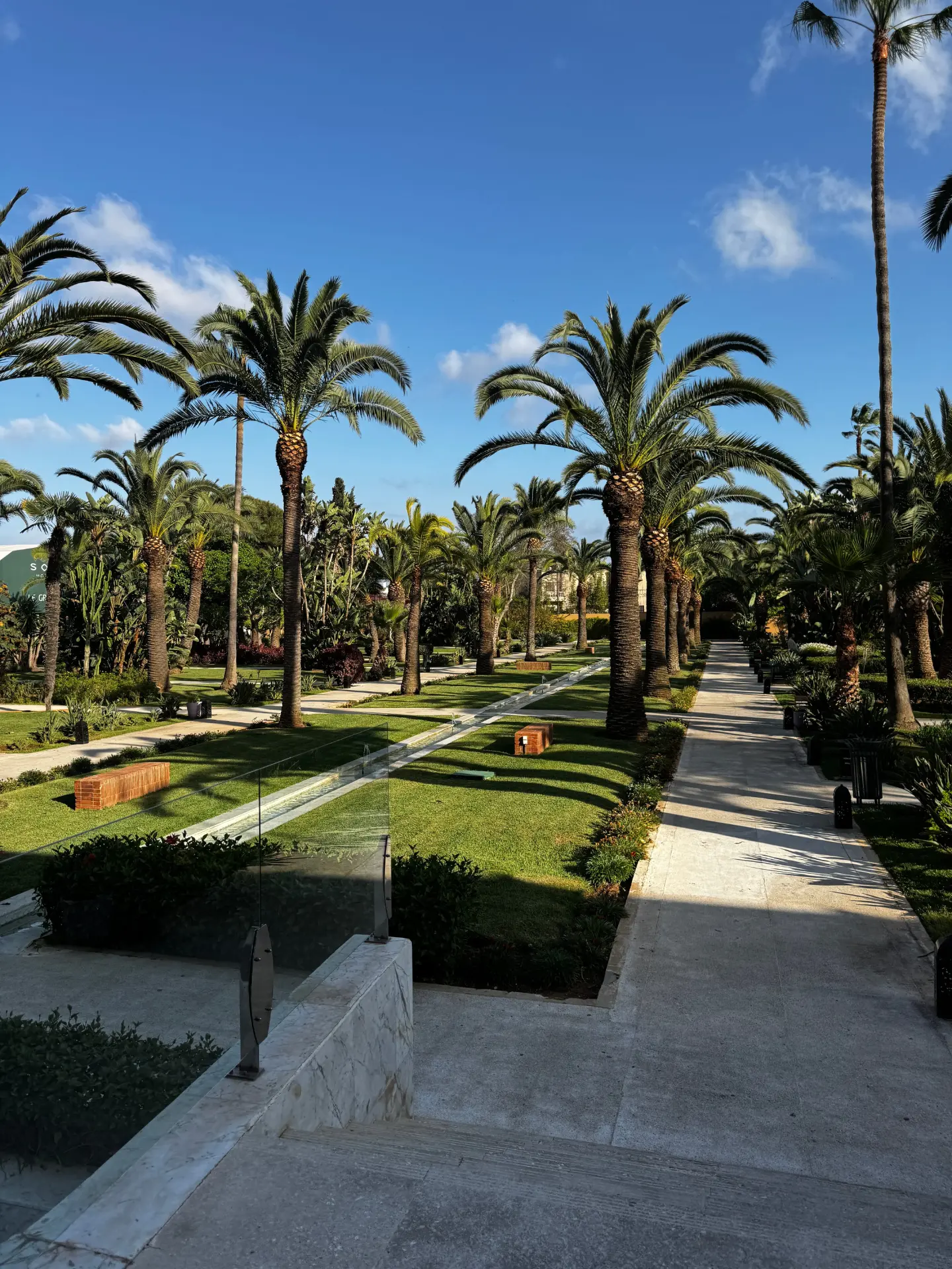 Palm gardens of the Jardin des Roses