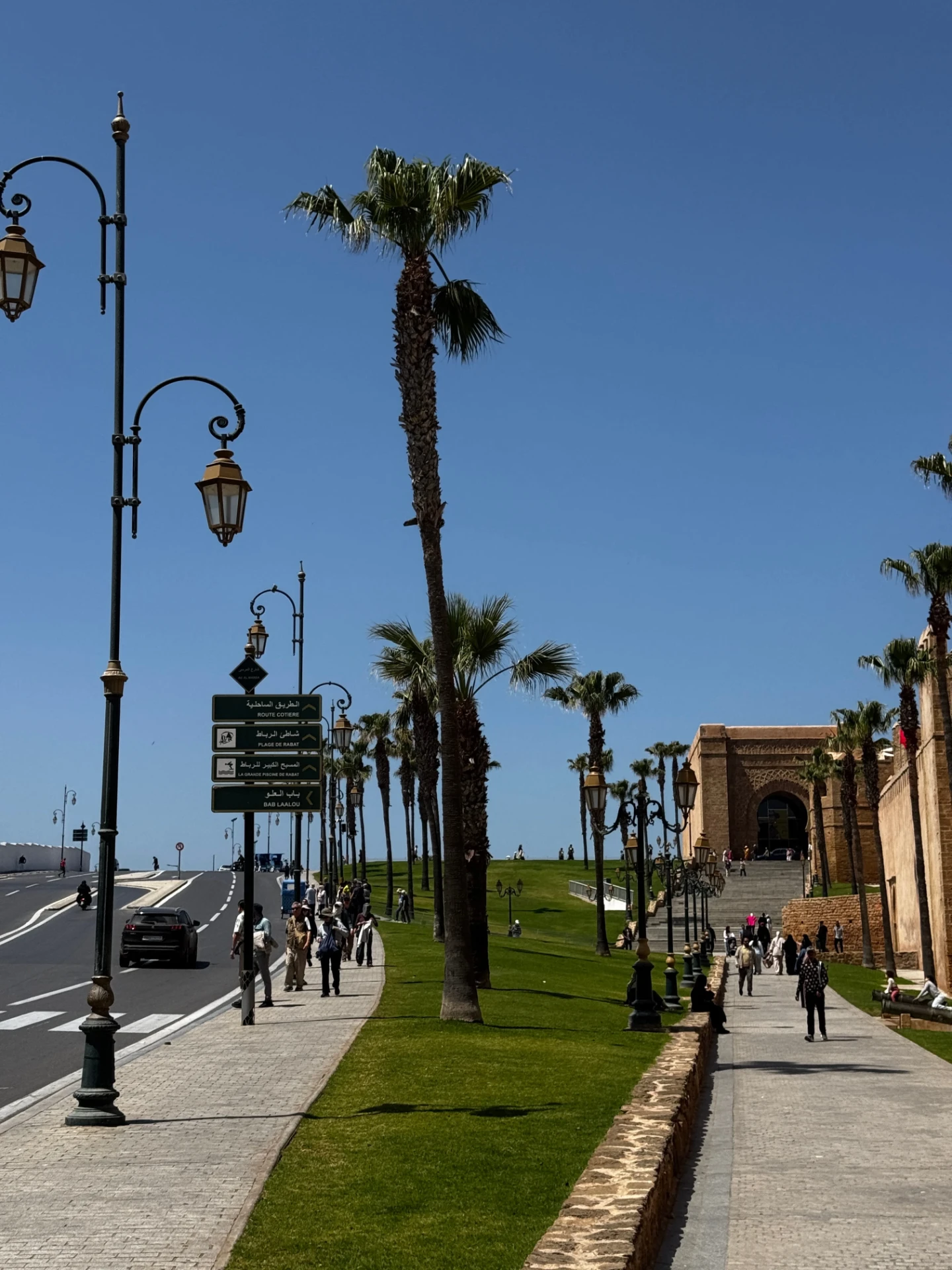 Palm-lined avenue to the Kasbah, Rabat