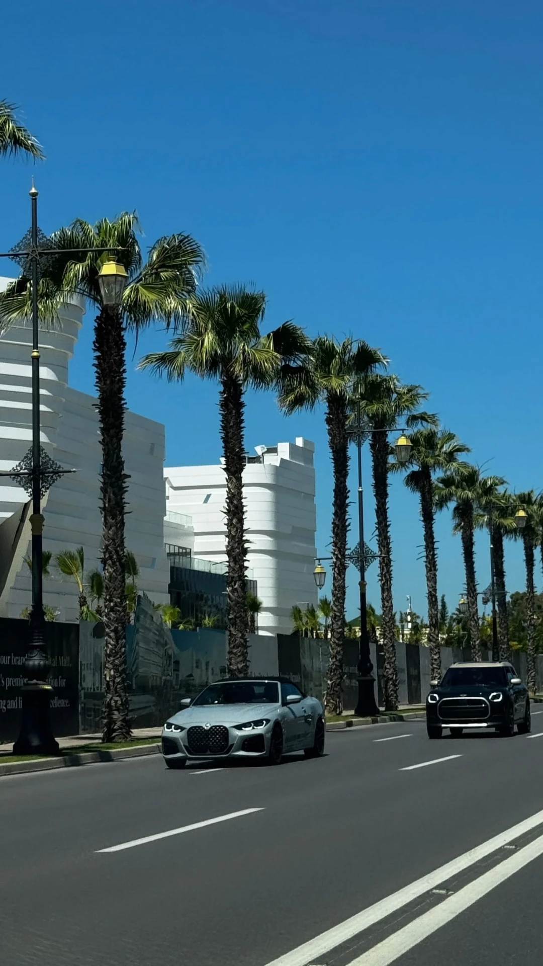 Palm-lined boulevard in central Rabat